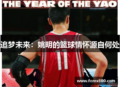 追梦未来：姚明的篮球情怀源自何处