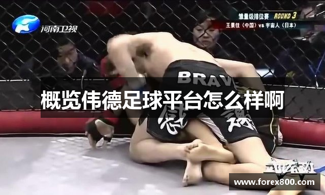 概览伟德足球平台怎么样啊